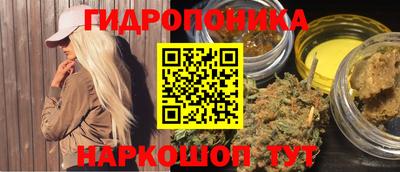 jwh Бердск