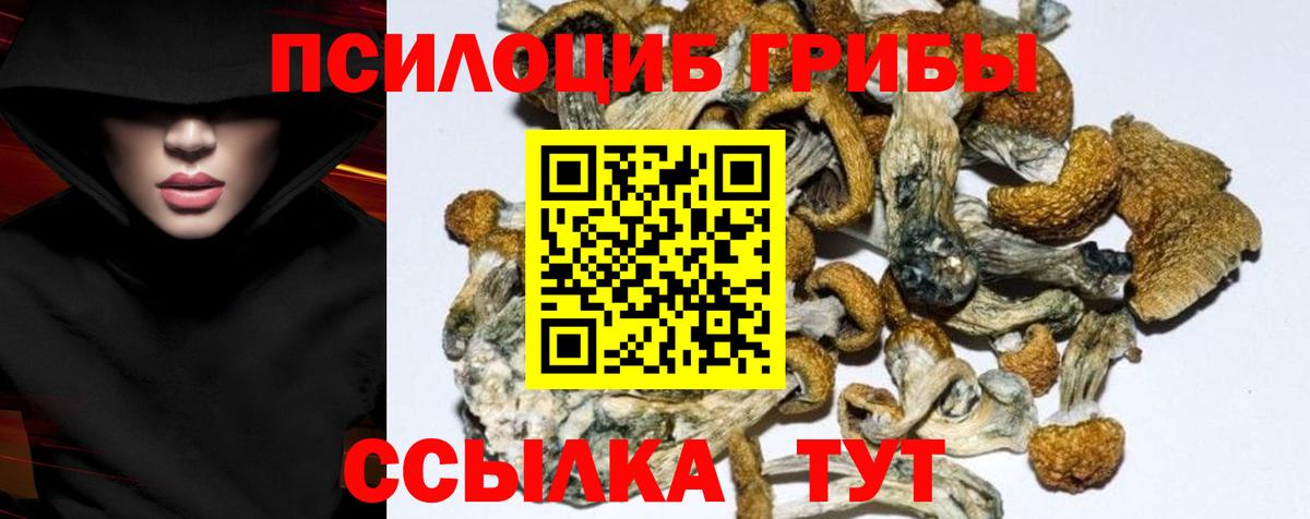 Ачинск  Псилоцибиновые грибы Cubensis  Вход с VPN 