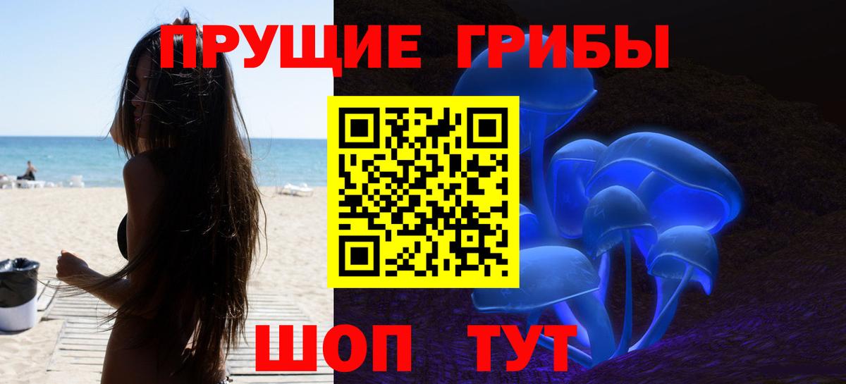 Псилоцибиновые грибы Cubensis Ачинск